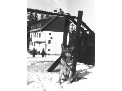 Foto 14